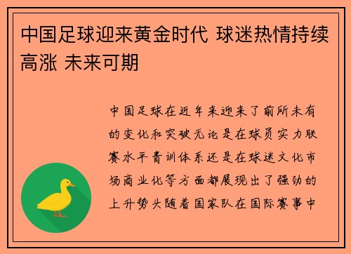 中国足球迎来黄金时代 球迷热情持续高涨 未来可期